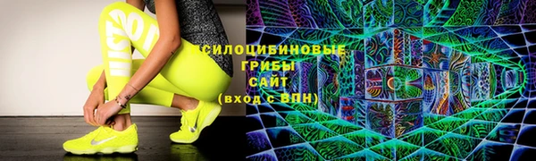 дмт Дмитров
