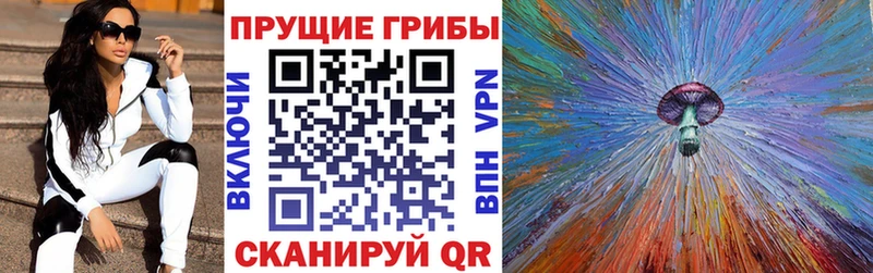 Галлюциногенные грибы GOLDEN TEACHER где продают наркотики Белорецк