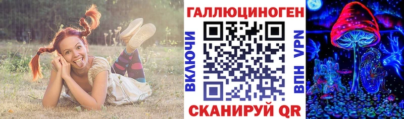 Галлюциногенные грибы Psilocybine cubensis Белорецк