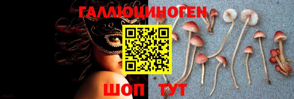 купить  цена  Псилоцибиновые грибы мухоморы  Вход с VPN  Белорецк 